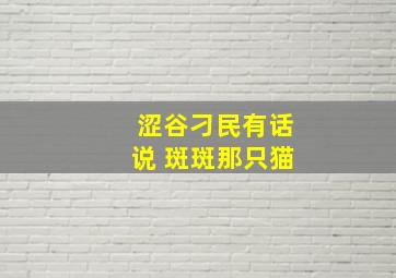 涩谷刁民有话说 斑斑那只猫